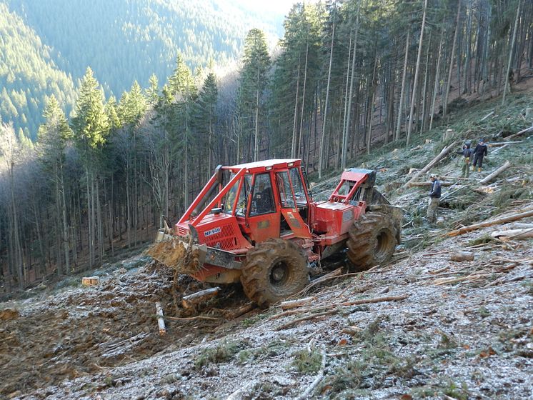 Framtidsland för skogsbruk