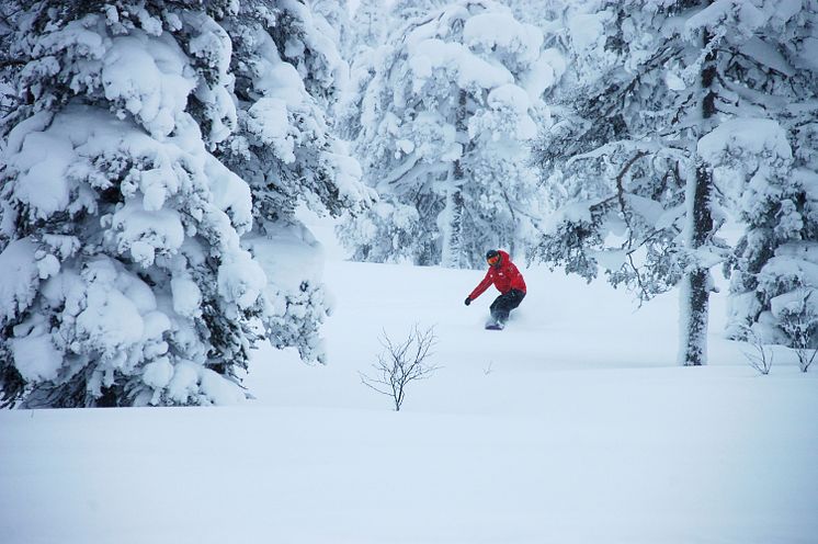 Nysnö i Sälen