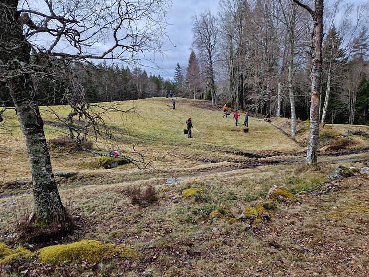 Ängen vid Hyttebacken_Anki Rauseus