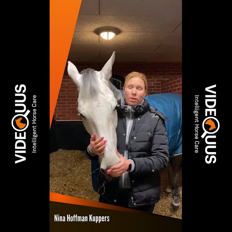 Nina Hofmann Küppers om när Videquus larmade när hennes häst fastnat
