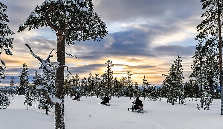 Fjällsakerhet-skotertur