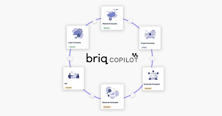 Briq_Co-Pilot (C) Briq