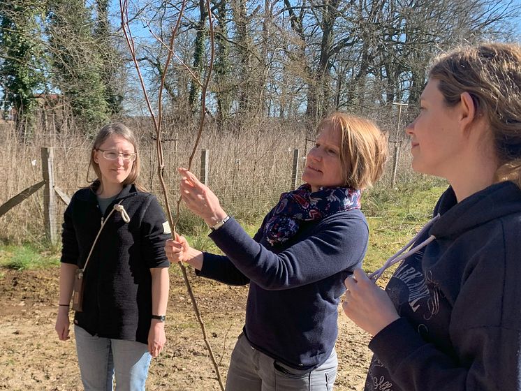 Erfolgreiche Pflegemaßnahmen bei Schul-Uni-Wald-Aktion in Lohne