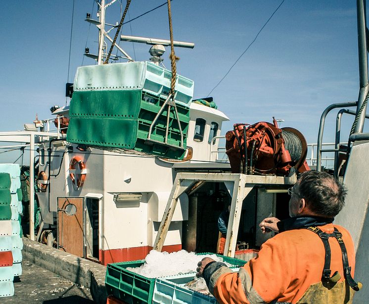 Nya regler för svenskt fiske vid årsskiftet - 