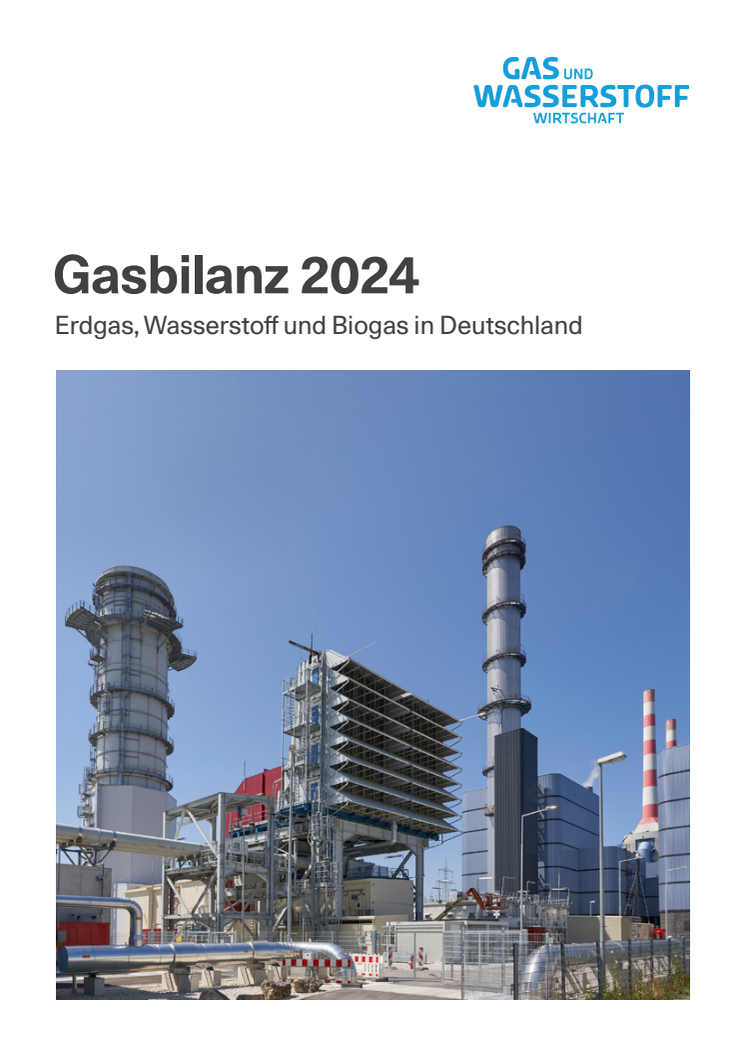 faktenblatt-gasbilanz-2024.pdf