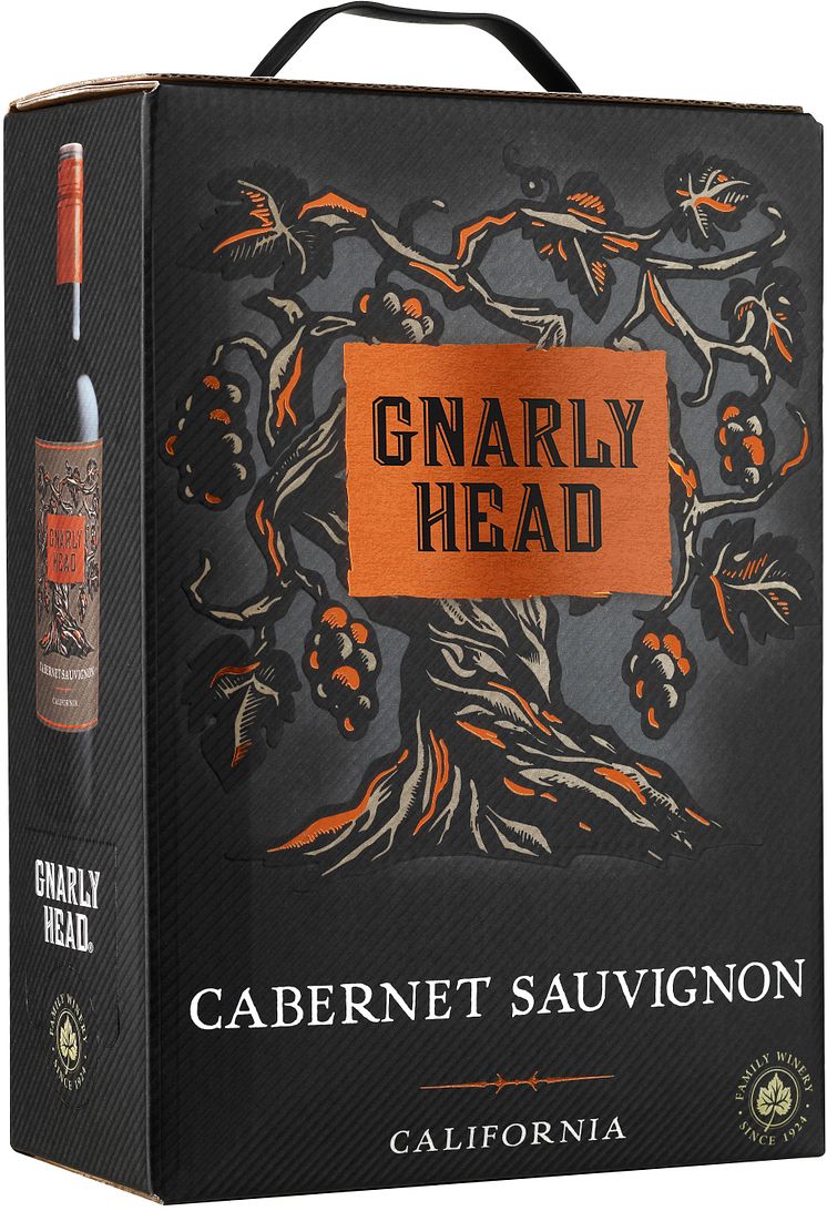 Gnarly_Head_CabSauv_BiB.jpg