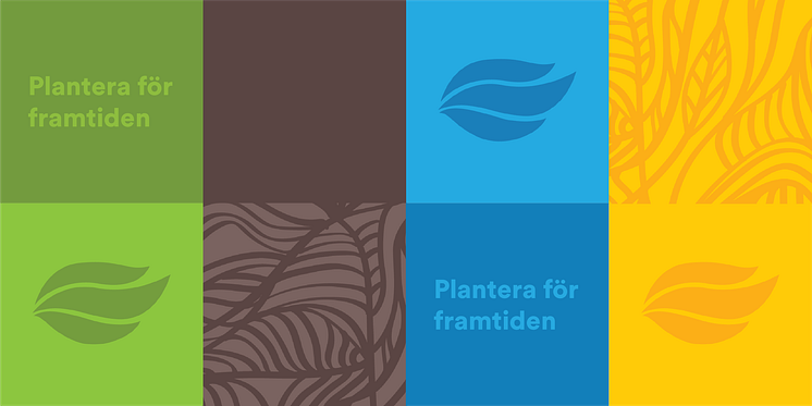 SplendorPlant-profil.png