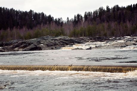 HaV föreslår nationell plan för miljövänligare vattenkraft