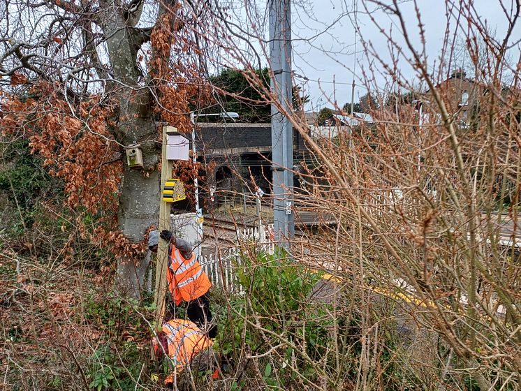 Harlington homes for nature