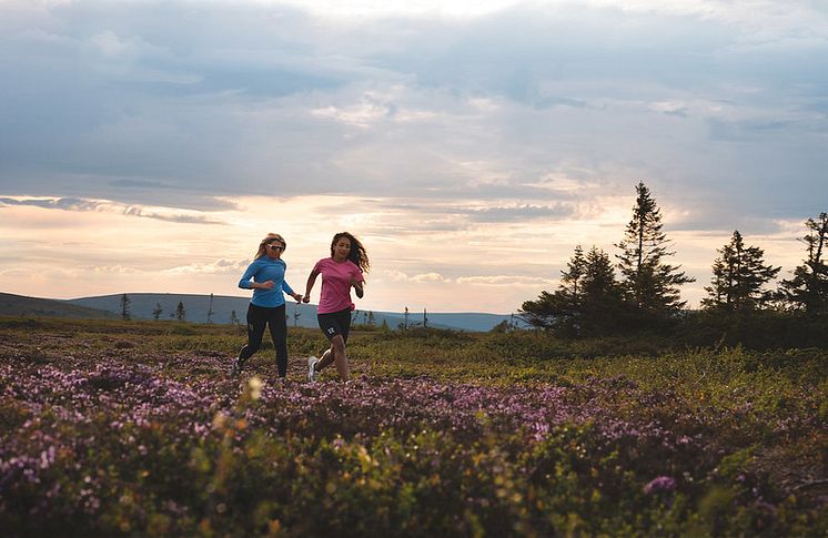 Löpning fjällen