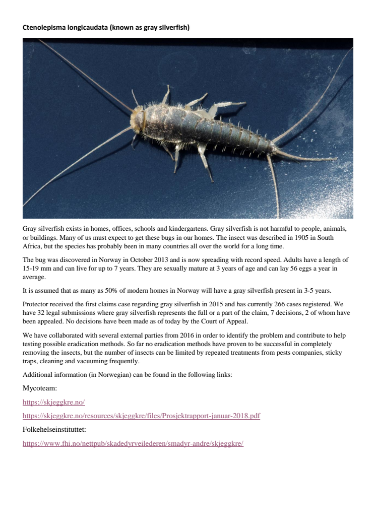 Gray silverfish