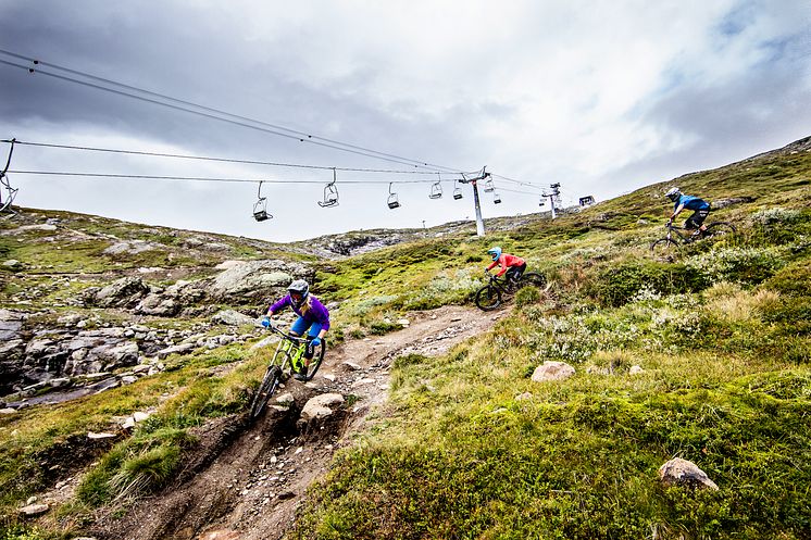 Åre Bike Park