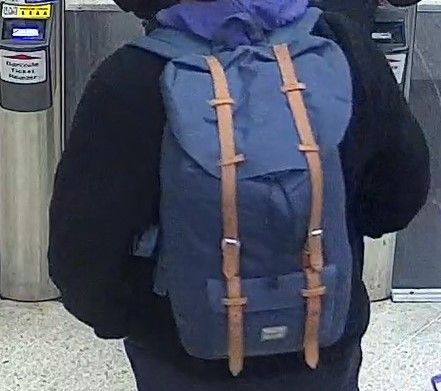 Backpack.jpg