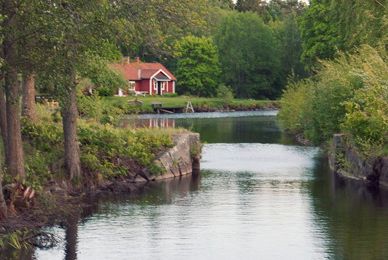 1,3 miljoner till att skydda flodkräftan