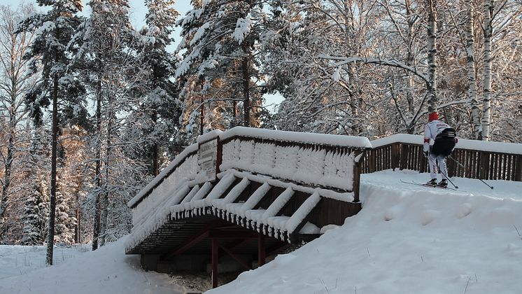 Högbo Ski Arena