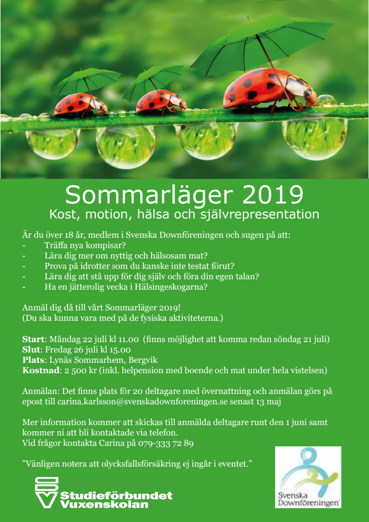 Sommarläger 2019