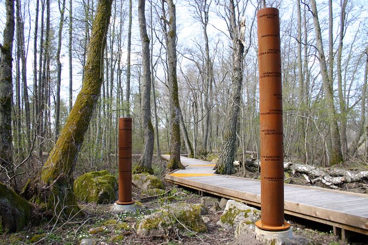  Cortenrör i varierande storlekar Strandskogen Arninge-Ullna