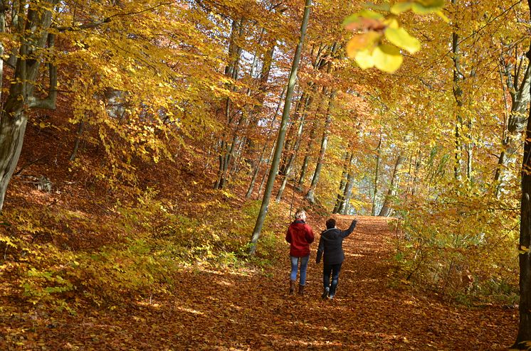 Wanderer am Großen Treppelsee