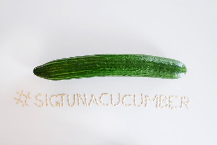 #sigtunacucumber