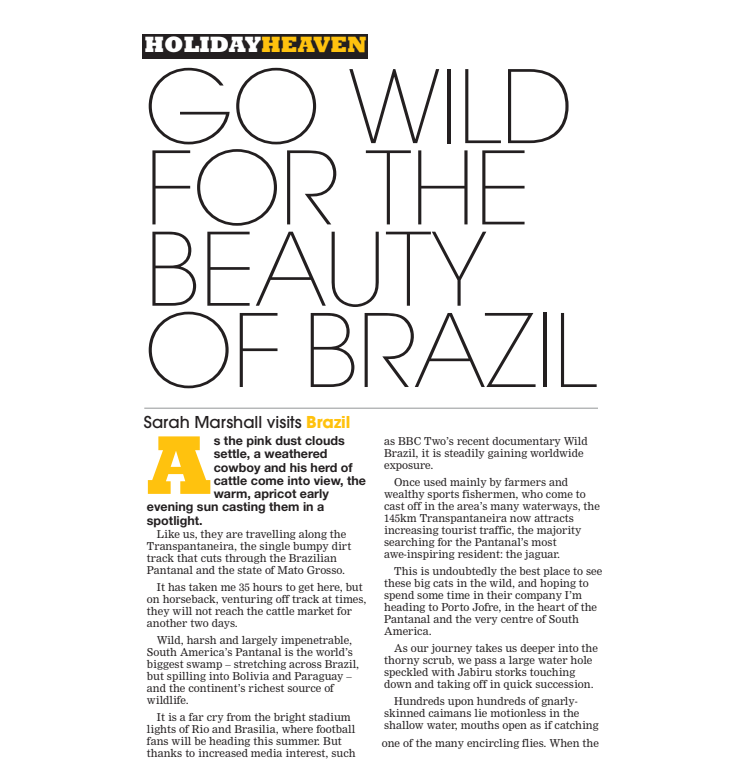 Go wild for the beauty of Brazil