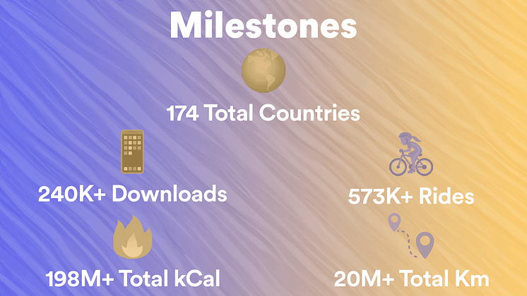 Motosumo Year in review milestones