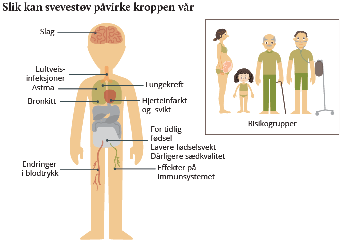 faktaark_svevestov_bilde