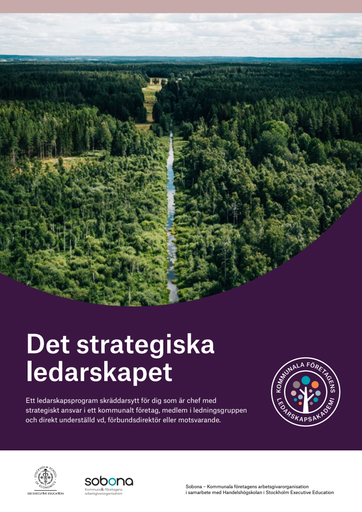 Programblad_Det_strategiska_ledarskapet.pdf