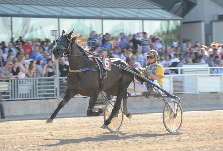 On Track Piraten 