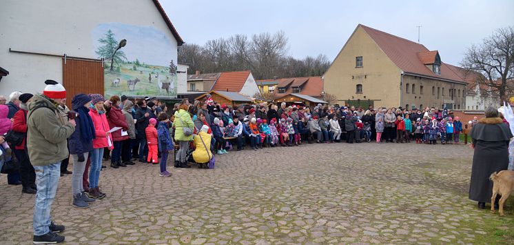 Weihnachten im Stall auf dem Klostergut Mößlitz: Bärenherz erhält erneut großartige Spende