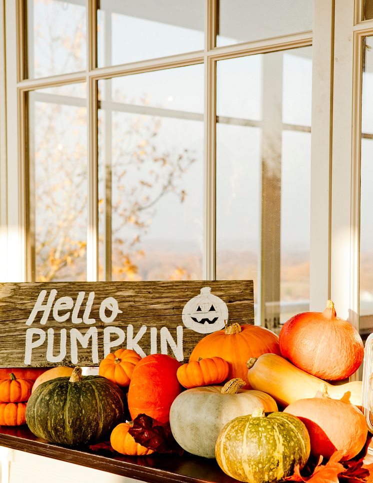 TheLodge_Autumn_Pumkin_High