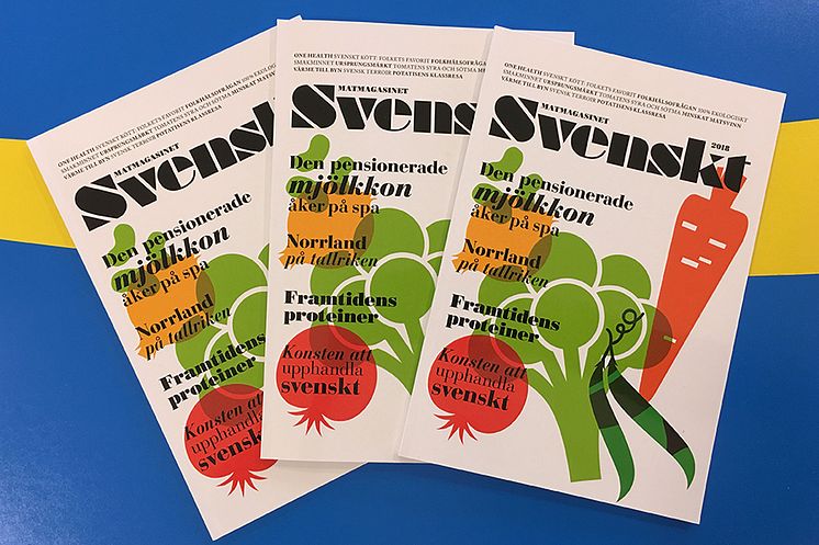 Magasin Svenskt 2018