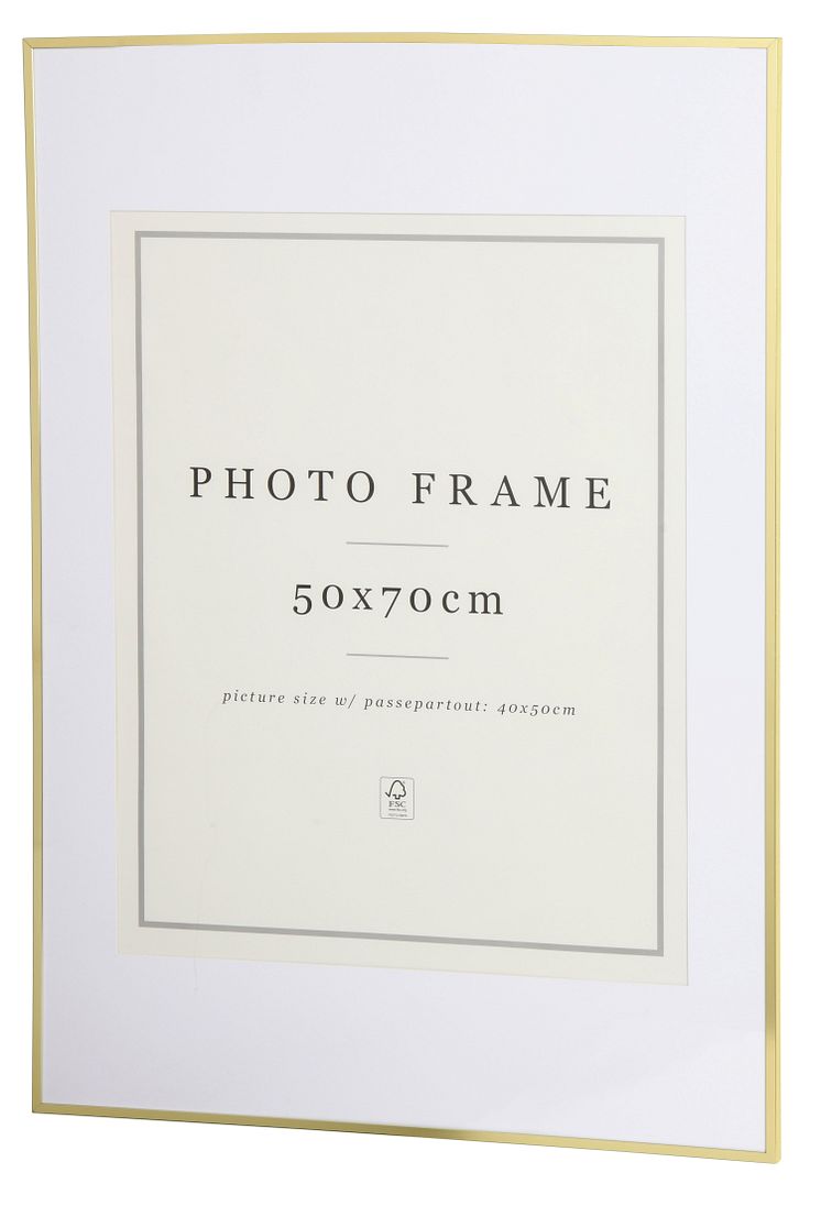 NYHET! Frame Tom 50x70 cm Gold 17,90  EUR.jpg