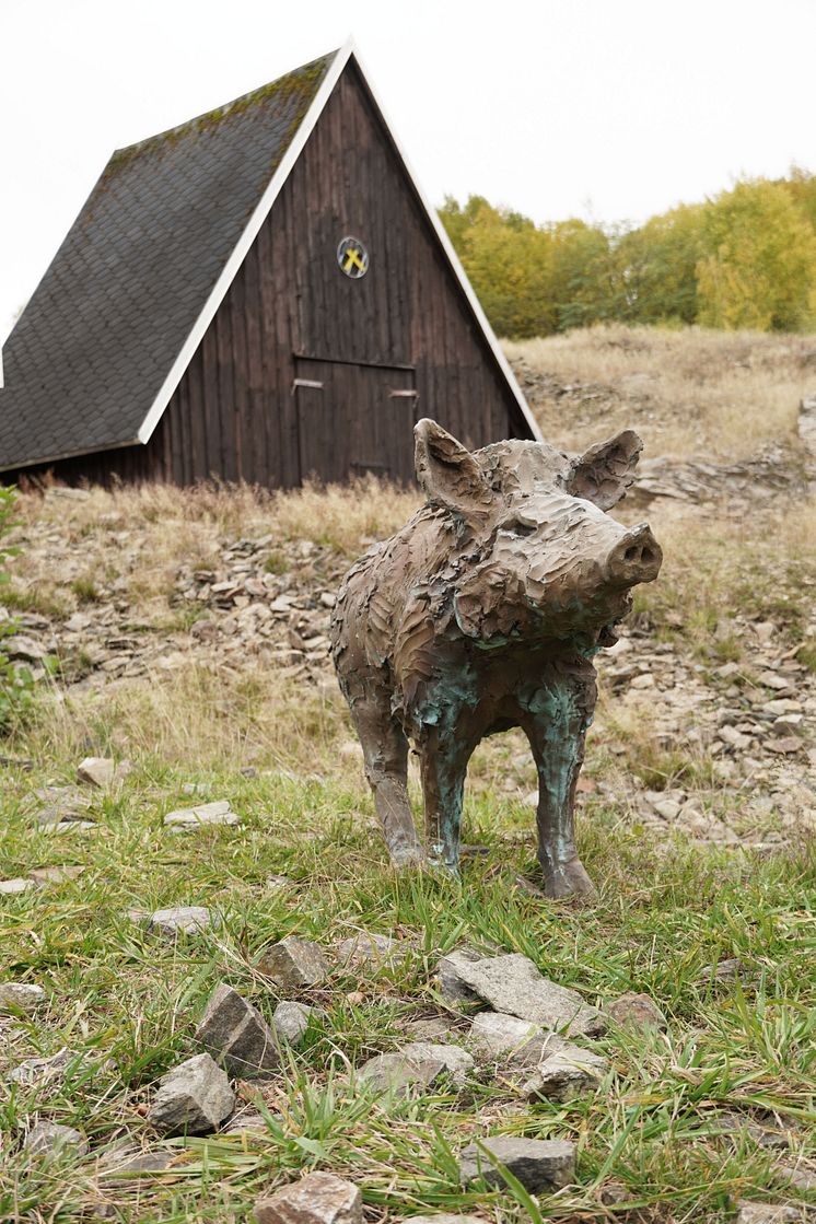 Purple Path_Wildschweine_Eine Legende besagt, dass Wildschweine auf Futtersuche am Sauberg einst das erste Zinnerz freilegten, welches in den folgenden Jahrhunderten die ganze Region prägen sollte_Fotograf Danie.jpg