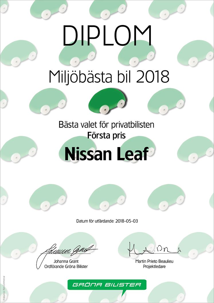 GB MBB2018 Diplom Privat 1 Nissan Leaf