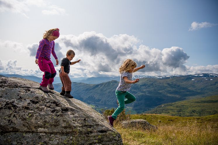 Med skiheis til fjells har alle glede av fjellturen