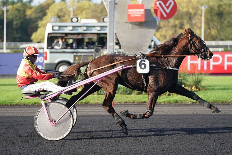 Gelati Cut klar för Elitloppet 2021. 