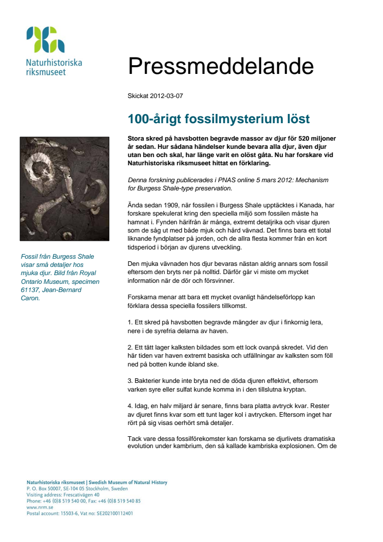 100-årigt fossilmysterium löst