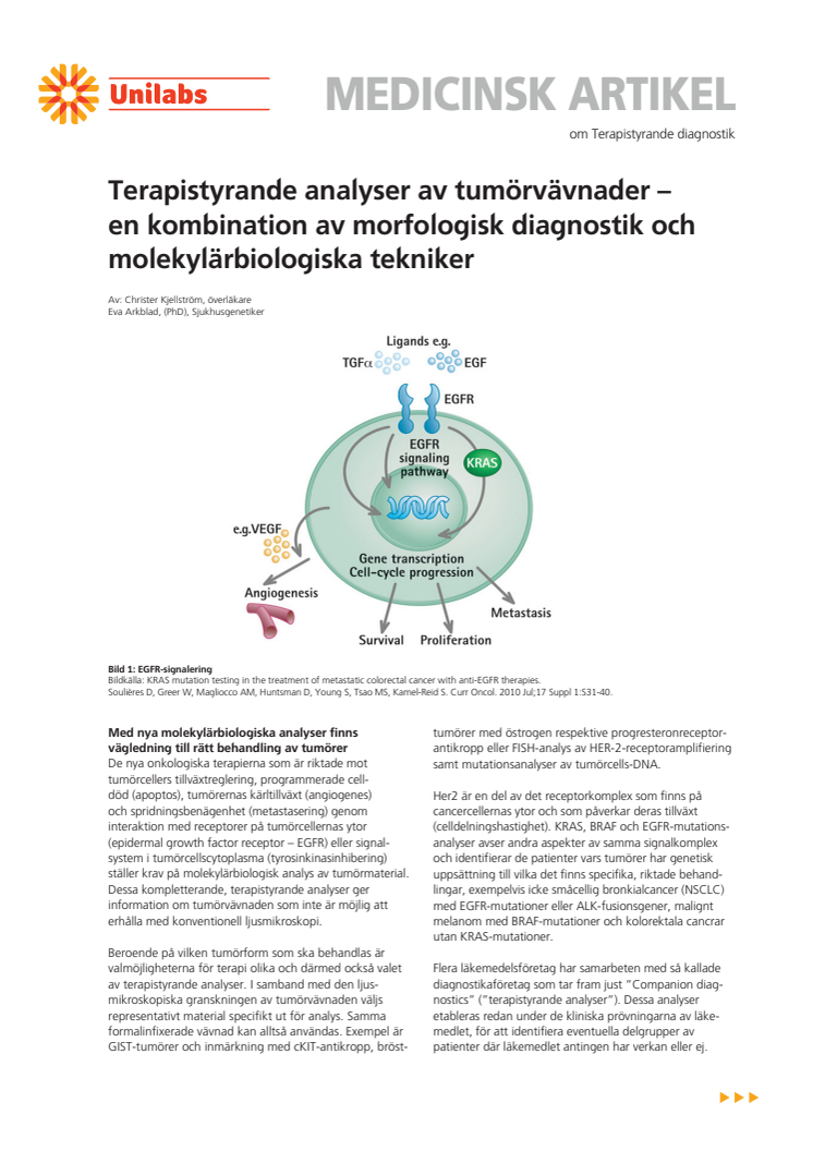 Terapistyrande analyser av tumörvävnader – en kombination av morfologisk diagnostik och molekylärbiologiska tekniker