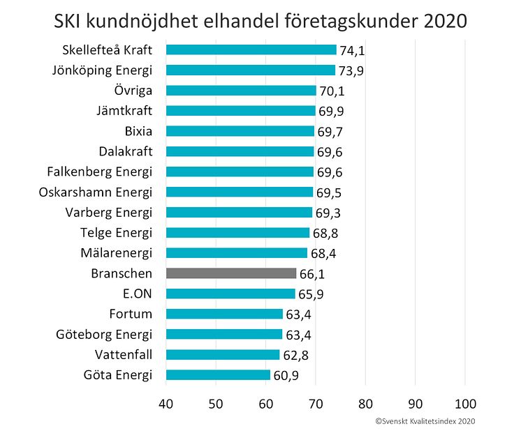 SKI elhandel foretag 2020.jpg