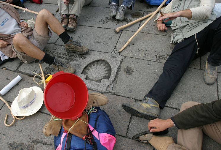 PERERINOS EN EL OBRADOIRO