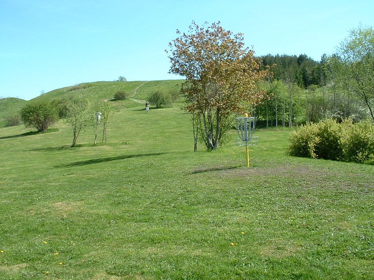JDGP 30 år 2025_bild från 2001