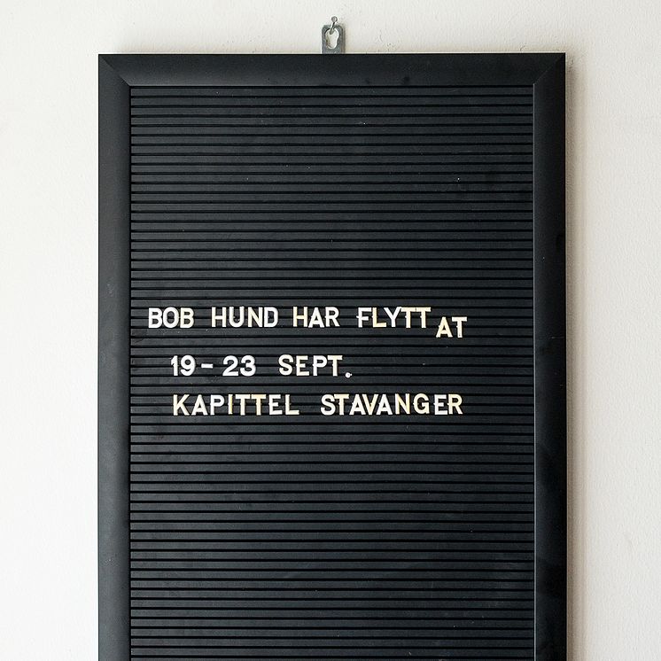 Bob Hund Kapitel Stavanger