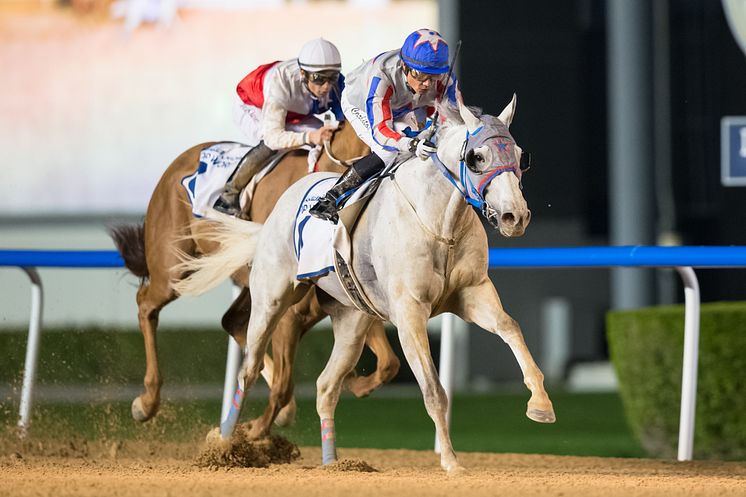 Plata O Plomo (S Berneklint-C lopez) vinner på Meydan 2020-01-30