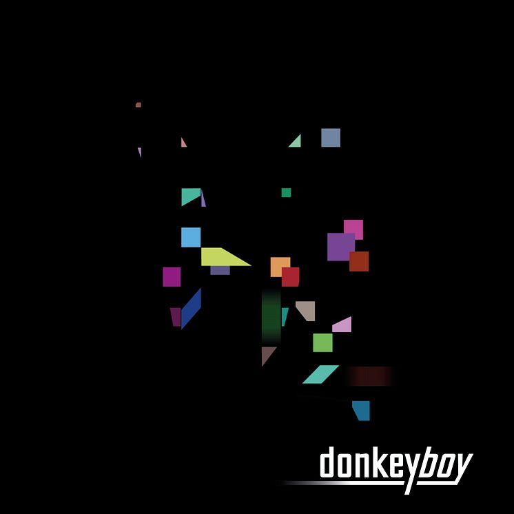 donkeyboy albumcover Lost