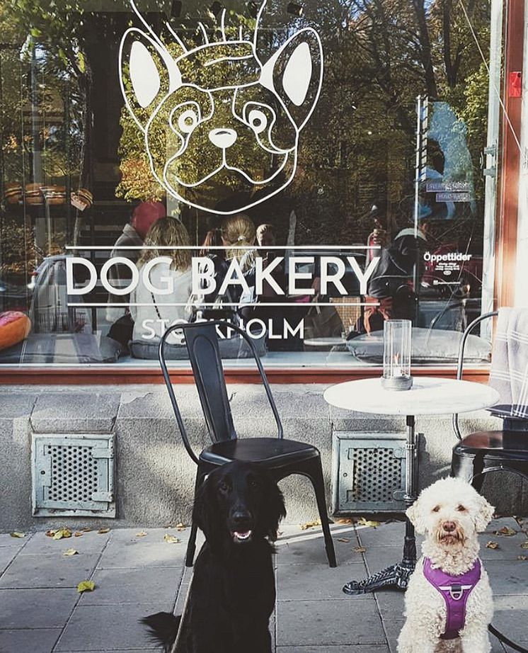 Dog Bakery 