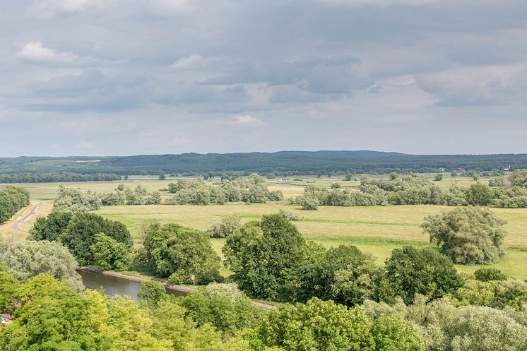 Blick in den Nationalpark Unteres Odertal bei Stützkow