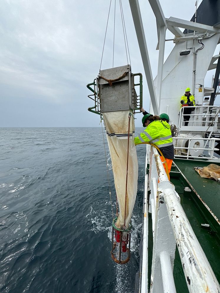 Elisabeth Halvorsen UiT and Recovery of MultiNet-midi Photo Chathumini Kiel.jpg