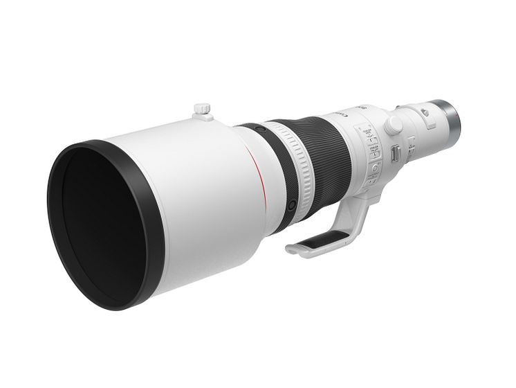 Canon RF 800mm F5.6L IS USM with hood FSL 03.jpg