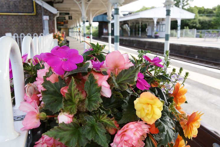 Planting at Arundel station.jpg