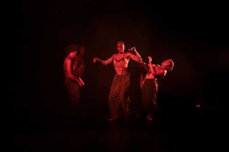Company Nicolas Huchard - The barefoot diva